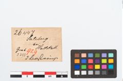 Etikett zu Bernsteinringperle (NHMW-PRAE-026447)